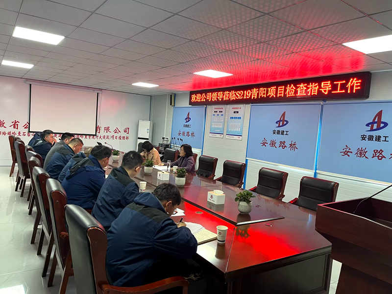 公司黨委委員、紀(jì)委書記王鵬到S219青陽改建項目調(diào)研指導(dǎo)工作